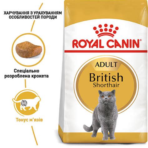 Royal Canin British Shorthair (Роял Канин Бритиш Шортхеа) сухой корм ...