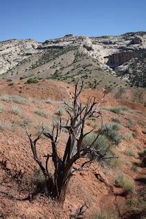 Low Stress Traveling - Darling Style: Dinosaur National Monument: Hiking the Desert Voices and ...