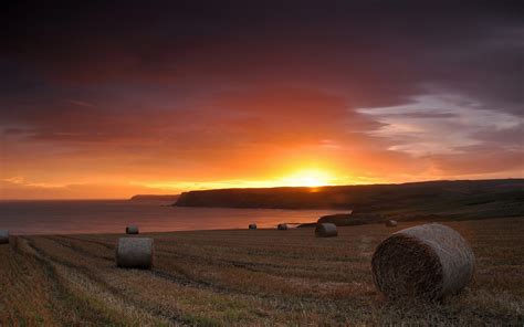 Cornfield Sunset wallpaper | 2560x1600 | #29816