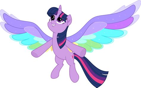 Princess Twilight Sparkle And Rainbow Dash Flying