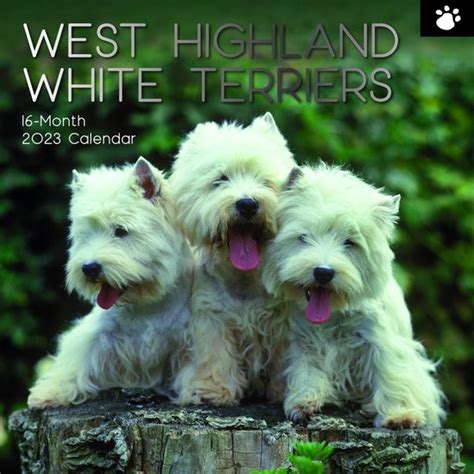 West Highland White Terrier Kalender Bol