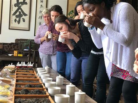 2021 Tea Sommelier Live Training International Tea Academy Official Web