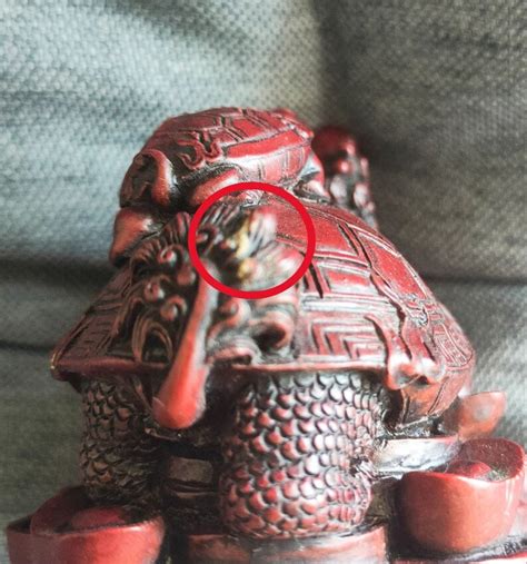 Vintage Chinese Feng Shui Dragon Turtle Tortoise Sitting On Coins