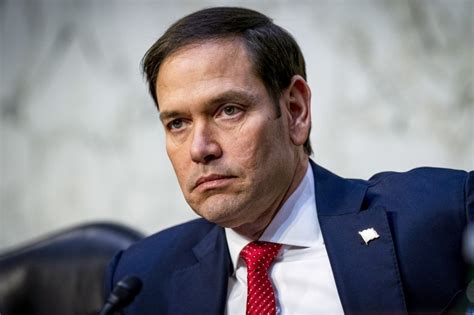 Trump Expected To Choose Sen Marco Rubio For Secretary Of State