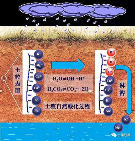 土壤酸化的几个冷知识 国际环保在线