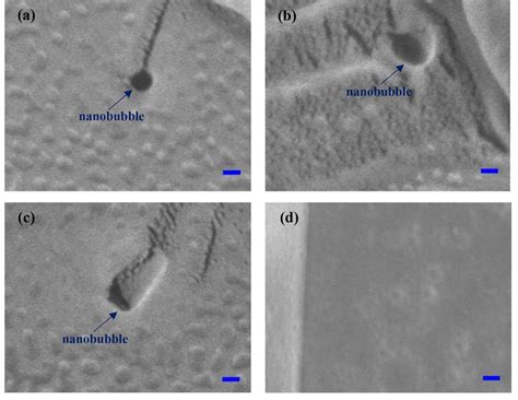 Cryo Sem Micro Graphs Of Bulk Co Nanobubbles A C And Di Water