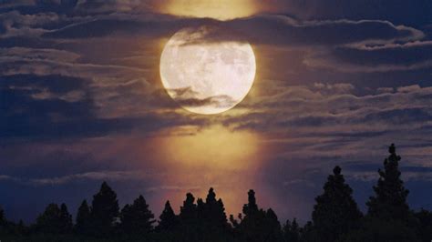 Moonlight Landscape Wallpapers - Top Free Moonlight Landscape ...