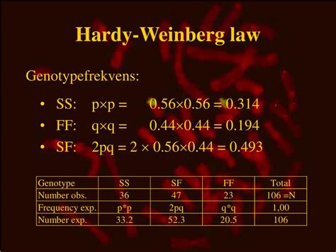 Ppt Chapter 2 Hardy Weinberg Powerpoint Presentation Free Download Id 929640