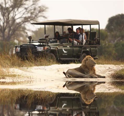 Okavango Delta Safari | Ecotourism Okavango Delta | Conscious Traveller