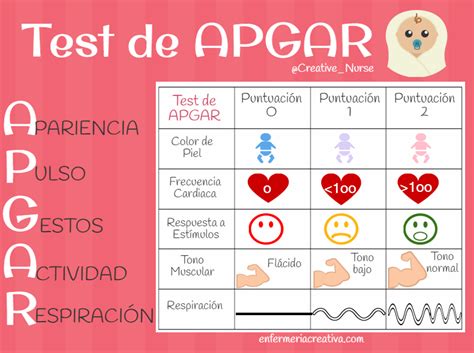 Infografia Sobre Los Test Apgar Capurro Y Silverman Dr Ramirez Images