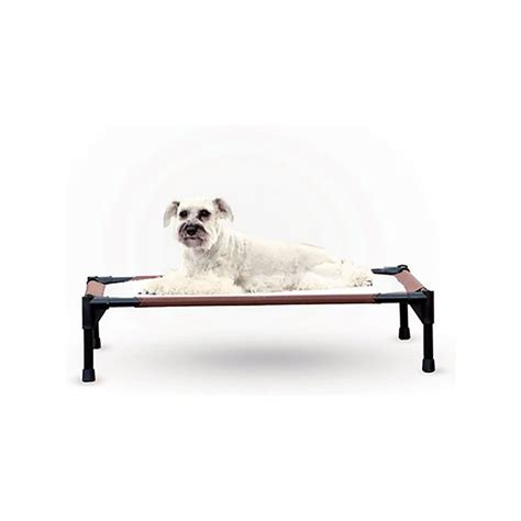 9 Best Heated Dog Beds for Winter | The Family Handyman