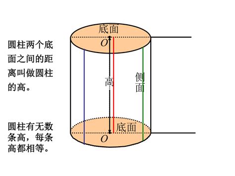 人教版数学六年级下册《圆柱的认识》课件共53张ppt21世纪教育网 二一教育