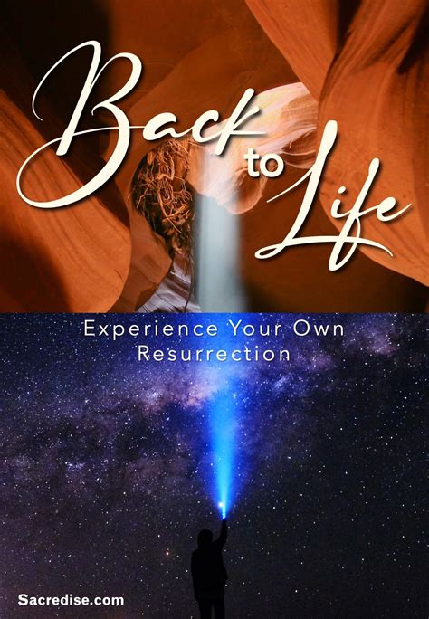 Back to Life (Bundle – PDFs) – Sacredise