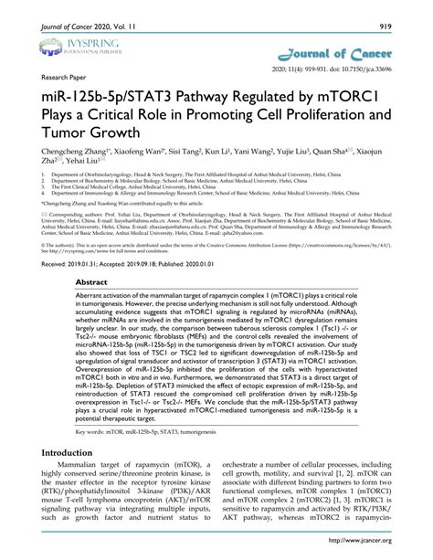 PDF MiR 125b 5p STAT3 Pathway Regulated By MTORC1 Plays A Critical