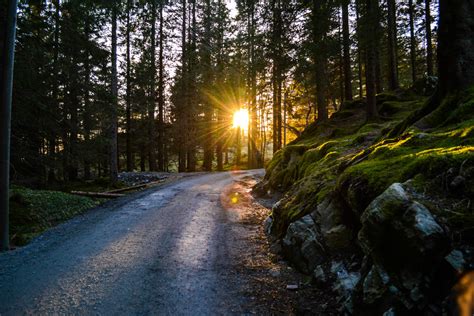 This Is Yet Another Reason To Fall In Love With Bergen In Norway