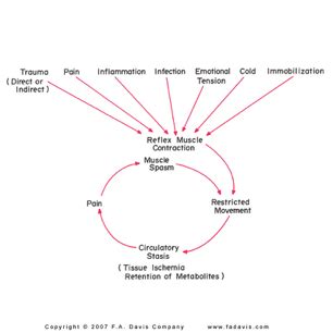 Soft Tissue Injuries Pta Exam Flashcards Quizlet