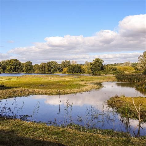 Lackford Lakes Tutto Quello Che Cè Da Sapere 2024