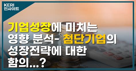 금융발전이 기업성장에 미치는 영향 분석 첨단기업의 성장전략에 대한 함의 Keri Insights 한국경제연구원 Keri