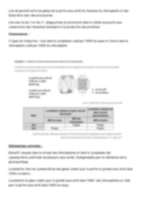 SOLUTION Exercice Entrainement G N Tique Et Volution Exemple De Corrig