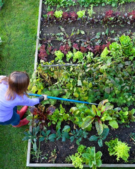 Top Gardening Tips For April Garden Leafyjournal