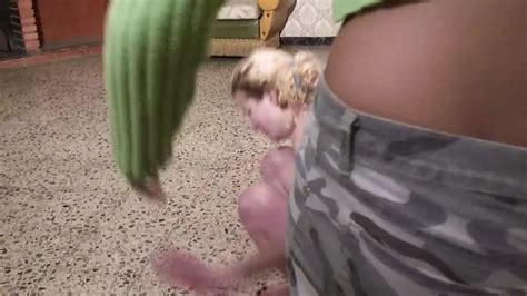 Free Cfnf Porn Videos XHamster