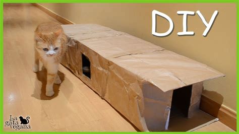 DIY TÚNEL PARA GATOS DE CARTÓN CASERO RECICLADO FÁCIL Y BARATO HAZLO