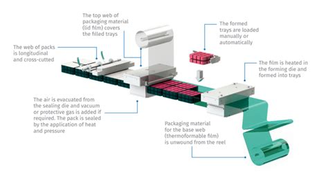 Thermoformer Machines Vacpac Australia