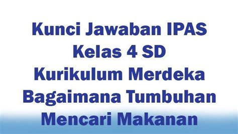 Kunci Jawaban Soal Ipas Sd Kelas Halaman Perbedaan Tumbuhan Dan