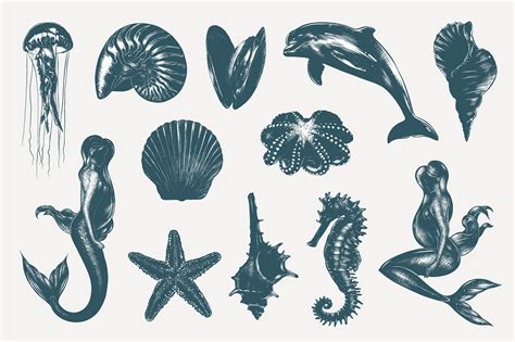 Ocean Life Hand Drawn Sketches How To Draw Hands Sea Horses