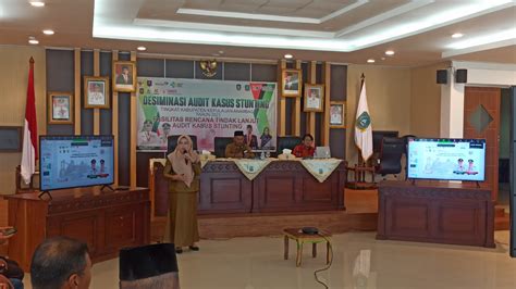 Audit Kasus Stunting Tingkat Kabupaten Kepulauan Anambas 2023 Upaya