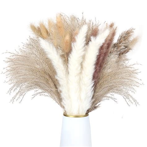 Buy 92pcs Natural Dried Pampas Grass 17 Inch Dried Reed Pampas Grass White Pampas Brown Pampas