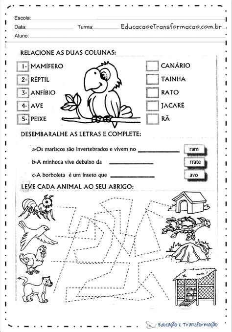 Cruzadinha Sobre O Meio Ambiente