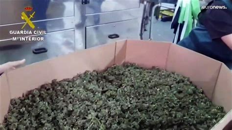 La Guardia Civil Española Ha Intervenido 32 Toneladas De Marihuana En El Mayor Alijo De La