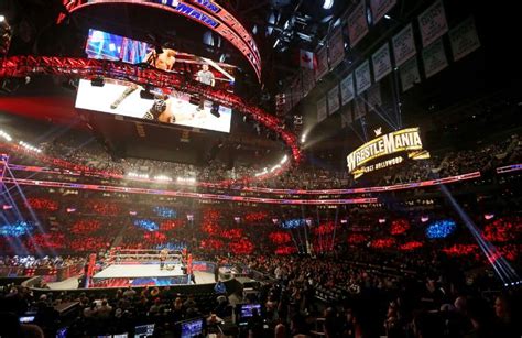 WWE Is Combining With UFC To Form New Company - The Seattle Medium