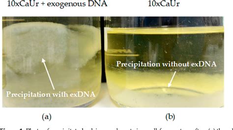 Figure From Structure Evolution Of Caco Precipitates Formed During