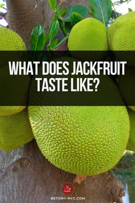 What Does Jackfruit Taste Like? - Betony