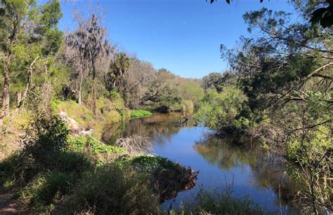 Best Hikes And Trails In Suwannee River State Park Alltrails