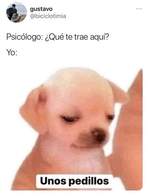 Unos Pedillos El Meme Del Perrito Que Es Perfecto Cuando No Quieres