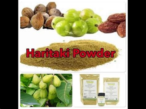 Benefits, Uses & Side Effects of Haritaki | Kadukkai | Karakkaya ...