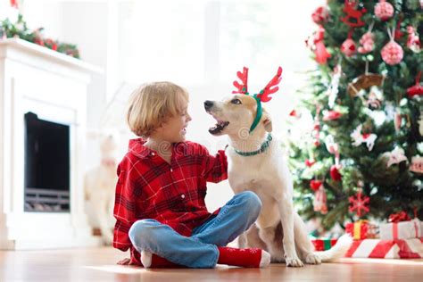 Navidad En Casa Niños Y Perros Bajo árbol De Navidad Imagen de archivo