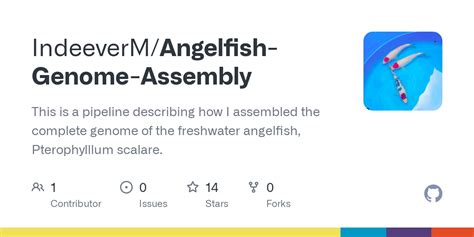 GitHub - IndeeverM/Angelfish-Genome-Assembly: This is a pipeline ...