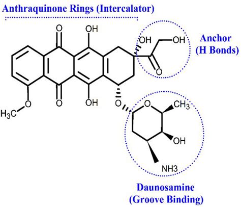 Schematic Chemical Structure And Three Functional Domains Of