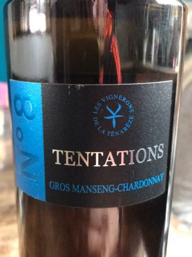 Marcel Trepout Tentations No Gros Manseng Chardonnay Vivino Us