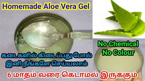 How To Make Aloe Vera Gel At Home In Tamil Homemade Aloevera Gel Tamilhow To Store Aloevera