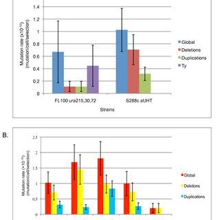 Mutation rates in the different genetic contexts. A. Global mutation ...