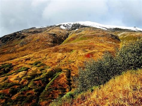 Bear Mountain Trail | ALASKA.ORG