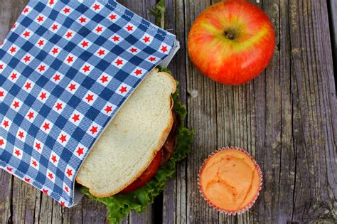 DIY Reusable Sandwich Bags Easy Sewing Project A Cultivated Nest