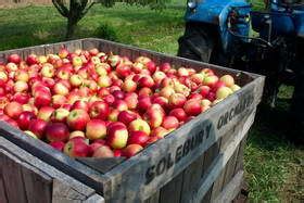 Solebury Orchards - LocalHarvest