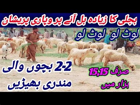 Biggest Mundra Mandi In Dera Ghazi Khan Bijli Ka Bil Zyada Any Pur