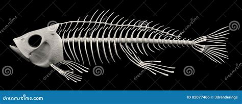 fish skeleton stock illustration illustration  ocean